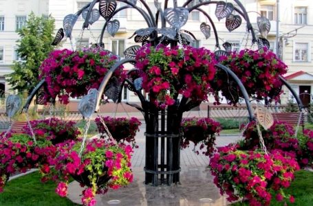 У парках Тернополя цього літа будуть квіткові Арки і “Серця” (ФОТО)