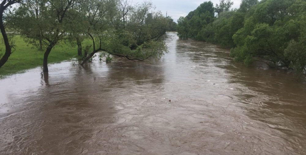 Затоплені підвали та подвір’я: на Тернопільщині десятки домогосподарств залило водою