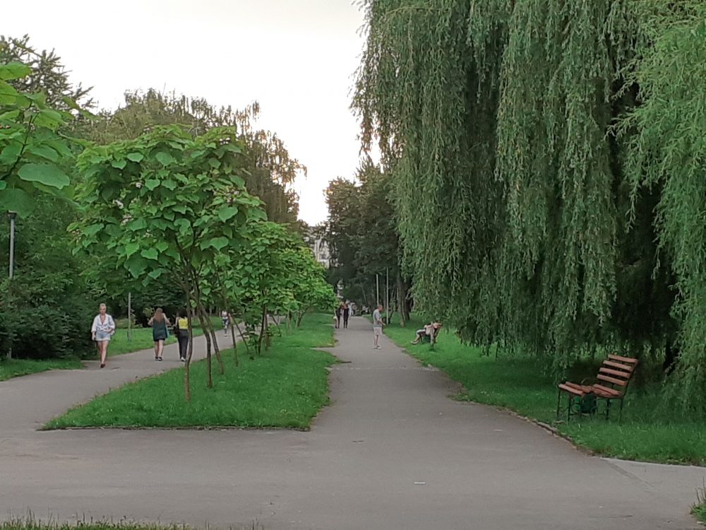 У Тернополі затримали чоловіка, який у парку приставав до дівчат та роздягався перед ними