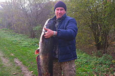 Житель Ланівців спіймав рибу заввишки з людину та вагою у 26 кг (ФОТО)