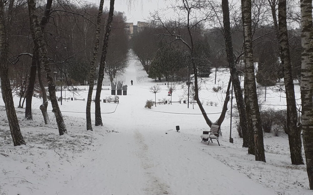 Без паніки: у поліції розповіли, хто і на кого нападає у парках Тернополя