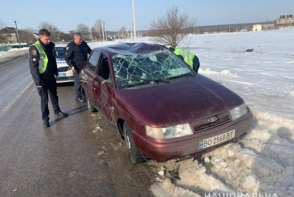 На Кременеччині п’яна дівчина викрала автомобіль свого товариша і потрапила в аварію (ФОТО)