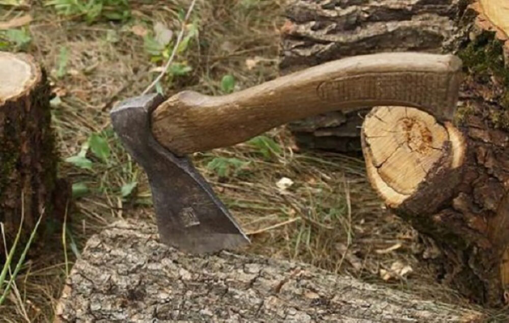 Жителя Заліщицької громади спіймали під час незаконної порубки дерев