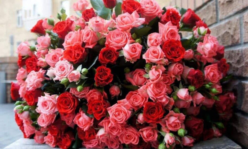 Троянди і шахрайство: у Заліщиках під час купівлі саджанців жінка втратила 50000 гривень