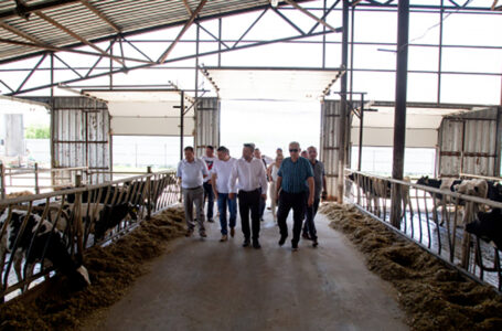 “Бучачагрохлібпром” споруджує два корівники та доїльні комплекси