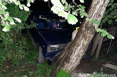 Заїхали в дерево: в аварії на Борщівщині травмувався 16-річний юнак