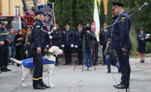 собака Бім, чотирилапий рятувальник із Тернополя
