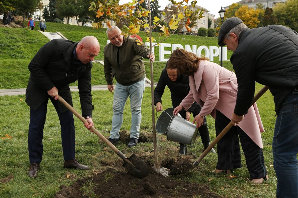 У 2021 році у Тернополі висаджено 600 нових дерев та кущів