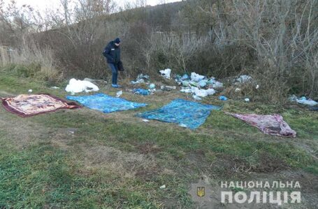 Вбивство на Бережанщині: у поліції розповіли деталі страшного злочину