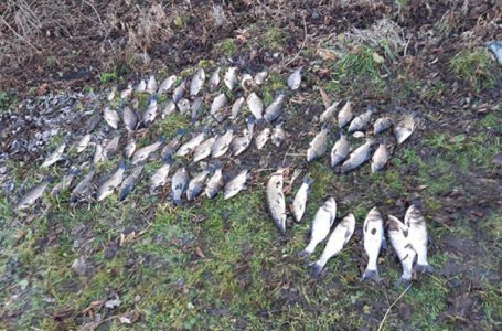 У Козівському районі затримали браконьєра, який на Стрипі ловив рибу сітками