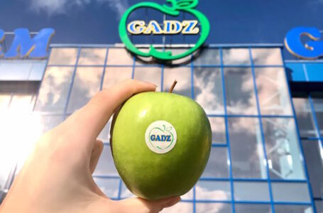 Урожай 40 сортів яблук зібрало фермерське господарство “Гадз”