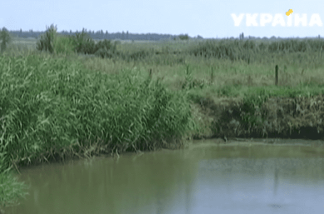 У Чорткові судили 79-річного пенсіонера, який на городі викопав ставок