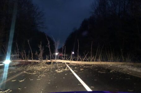Негода на Тернопільщині: вітер кидає дерева на дороги (ФОТО)