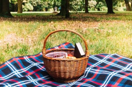 Что можно взять на пикник в парке