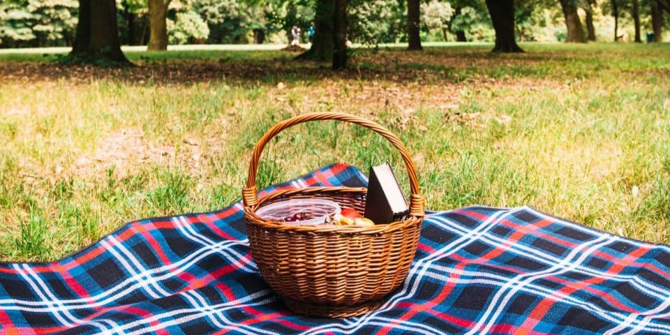 пикник в парке