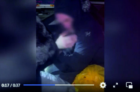 Українка намагалася перевезти чоловіка через кордон у багажнику (ВІДЕО)