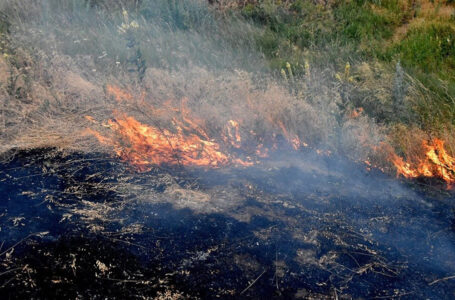 На Чортківщині під час спалювання сухої трави загинула 79-річна жінка