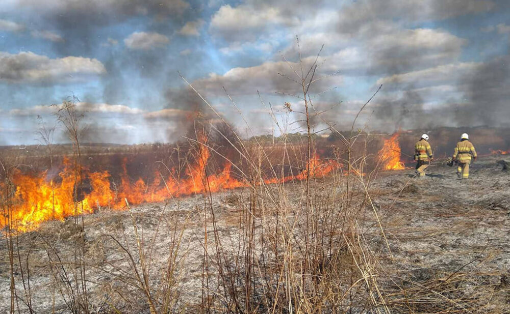 У Заліщицькій громаді під час пожежі сухої трави врятували 10000 курей