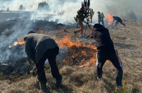 На Тернопільщині “диверсанти” продовжують палити суху траву – 8 пожеж на заході області