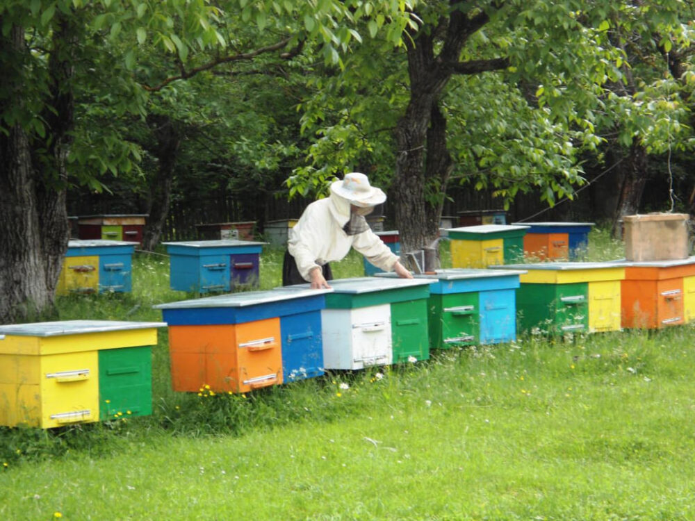 Магазин бджільництва з товарами та аксесуарами для бджолярів