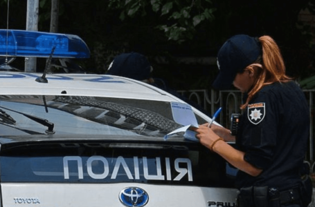 На Теребовлянщині п’яний водій побив поліцейського