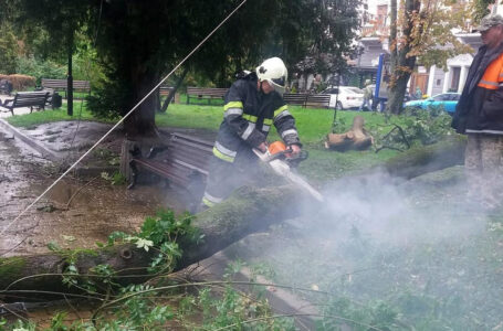 Повалені дерева і затоплені підвали: на Тернопільщині ліквідовують наслідки негоди
