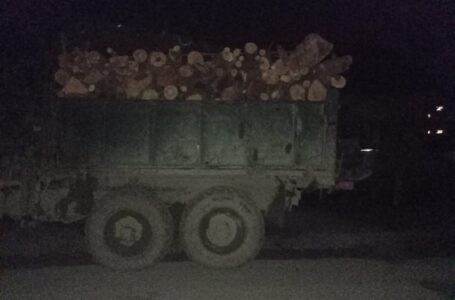 На Монастирищині спіймали водія вантажівки, який незаконно перевозив дрова