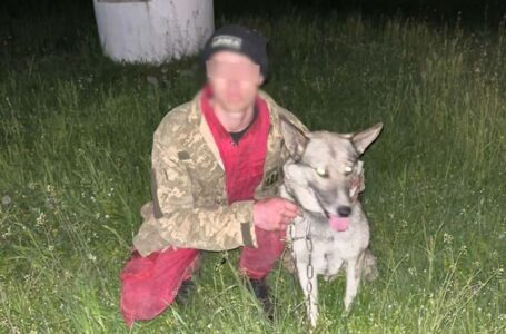 Врятувала собака: на Бучаччині у лісі розшукали заблукалого чоловіка