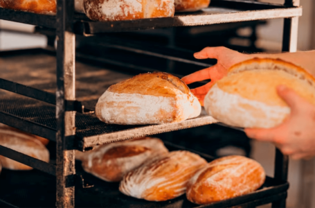 Вибір обладнання для пекарні та міні-пекарні: ключові аспекти