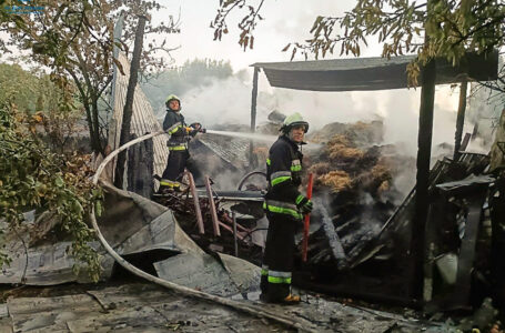 У селі біля Скалата згоріла господарська будівля (ФОТО)