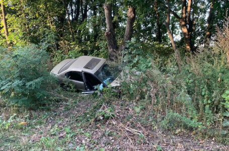 На дорозі Тернопіль – Скалат трапилася аварія: водій “Нісану” в’їхав у дерево