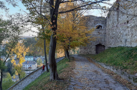 З вежі Теребовлянського замку впав 52-річний чоловік