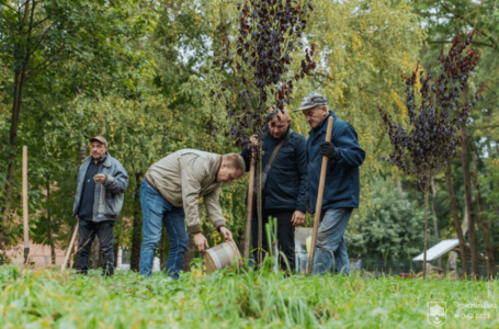 Зелений двір: у Тернополі постійно висаджують нові дерева, згідно стратегії відновлення прибудинкових територій