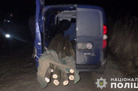 У Мельнице-Подільській громаді спіймали водія, який перевозив незаконно зрубану деревину