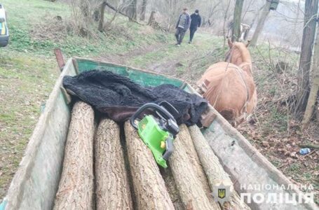 У Мельнице-Подільській громаді спіймали батька та сина, які незаконно нарубали фіру дров