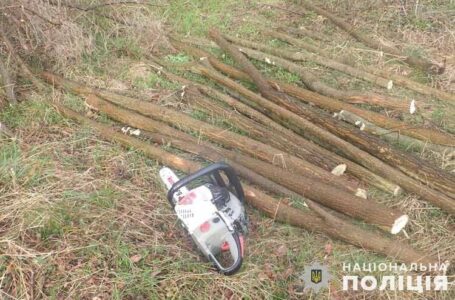 Жителя Мельнице-Подільської громади спіймали на незаконній вирубці лісу