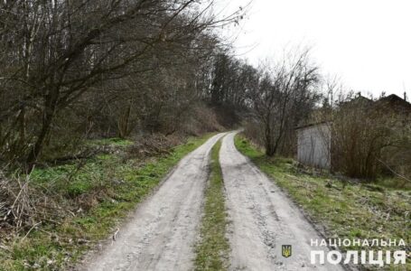 Грабіж та сексуальне насильство: у Березовиці зловмисник напав на 28-річну жінку