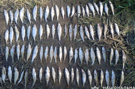 На Бучаччині спіймали браконьєра, який сітками ловив рибу у Дністрі