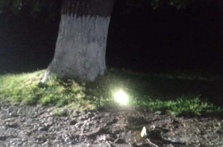 На Бучаччині 15-річний юнак заїхав мопедом у дерево