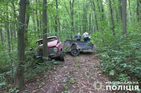 У Більче-Золотецькому лісництві внаслідок ДТП загинув водій “Жигулів”