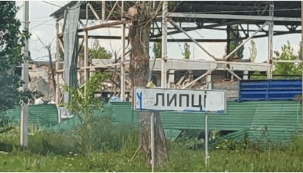 Липці