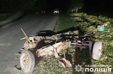 У Борщівській громаді водій ВАЗу в’їхав у гужову підводу (ФОТО)