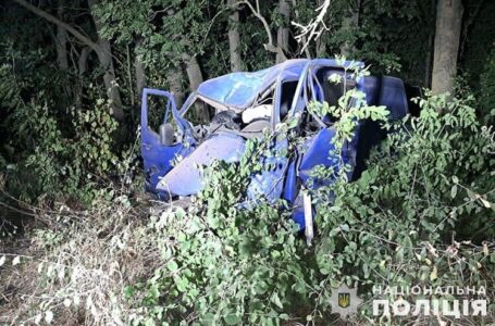 У Заліщицькій громаді водій “Мерседесу” заїхав у дерево. Троє людей травмовано