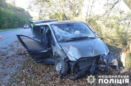 У Збаразькій громаді внаслідок зіткнення з деревом загинув водій “Мерседесу”