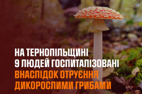 У Чортківському районі 9 людей отруїлися грибами