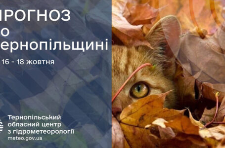 Сильні заморозки: прогноз погоди у Тернополі на 16 жовтня