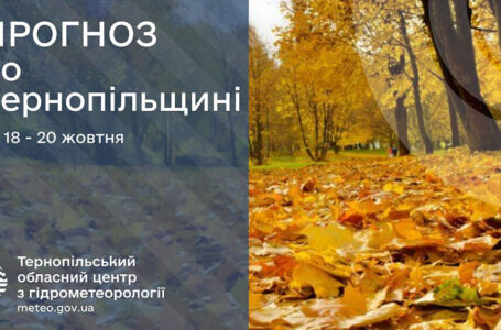 Сильні заморозки: прогноз погоди у Тернополі на 18 жовтня