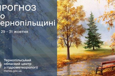 Невеликі дощі: прогноз погоди у Тернополі на 29 жовтня