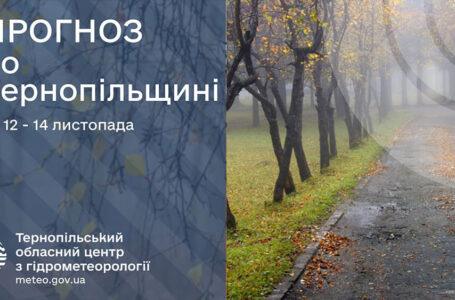 Холодно і без опадів: прогноз погоди у Тернополі на 12 листопада