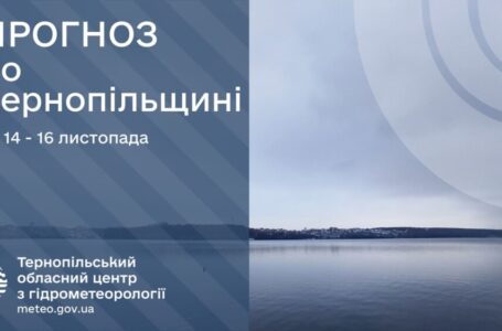 Мокрий сніг: прогноз погоди у Тернополі на 14 листопада